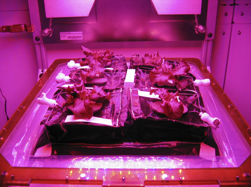 Illustration for article titled The Space Station at Night is Totally Creepy